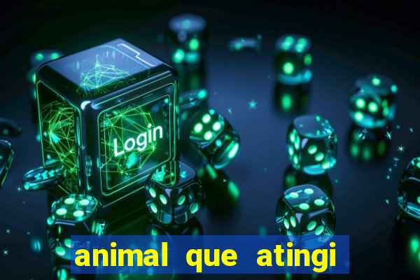 animal que atingi 230 decibeis